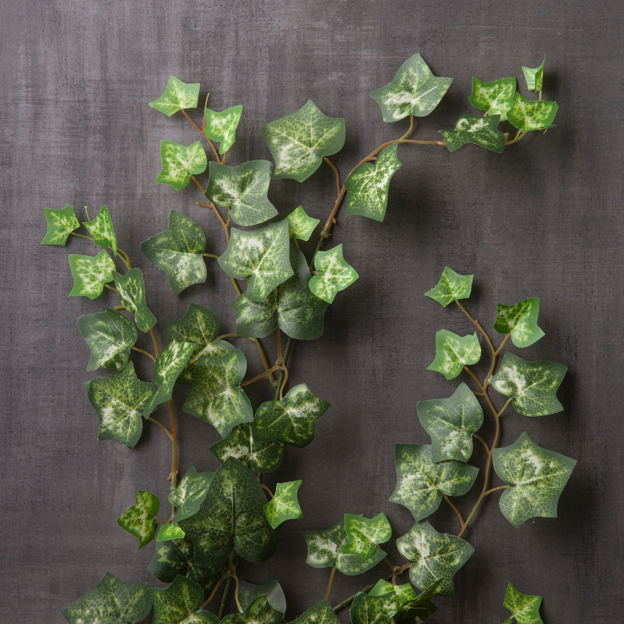 Silk Ivy Spray by Ashland®